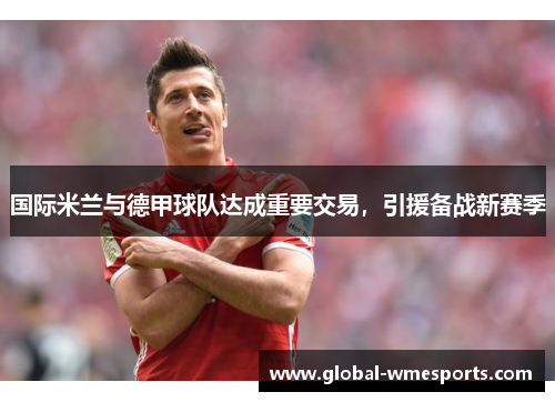 国际米兰与德甲球队达成重要交易，引援备战新赛季