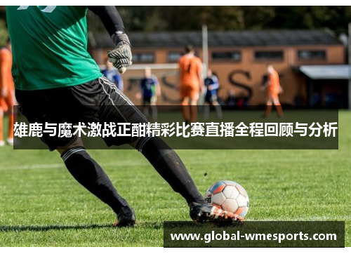雄鹿与魔术激战正酣精彩比赛直播全程回顾与分析